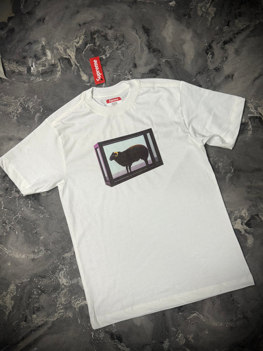 CAMISETA SUPREME BLANCA OVEJA